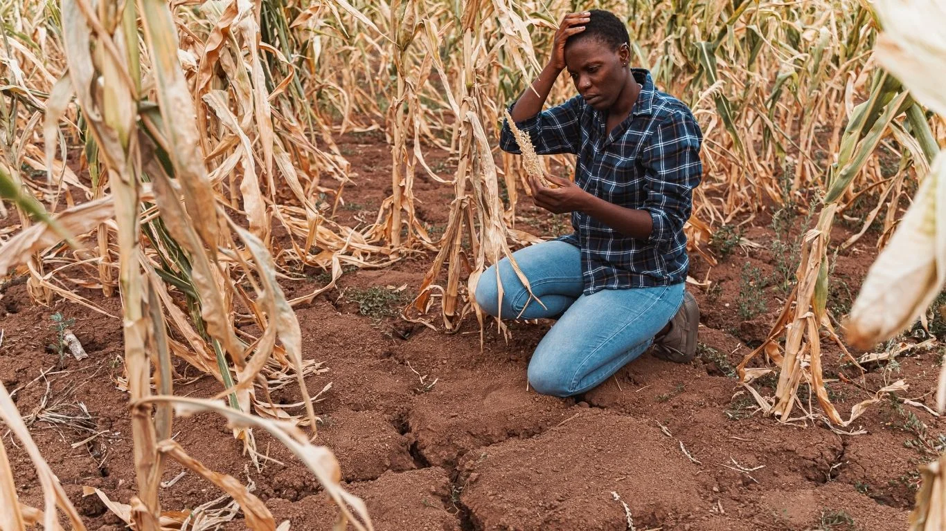 Agriculture